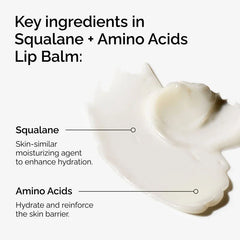 The Ordinary Amino Acids Lip Balm 15ml